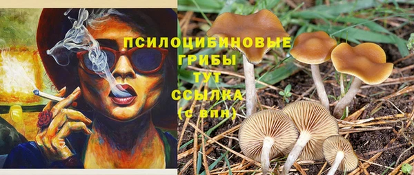 ALPHA-PVP Осташков