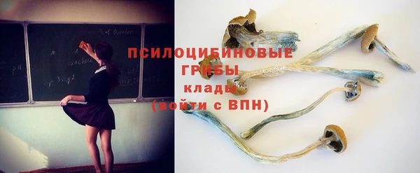 ALPHA-PVP Осташков