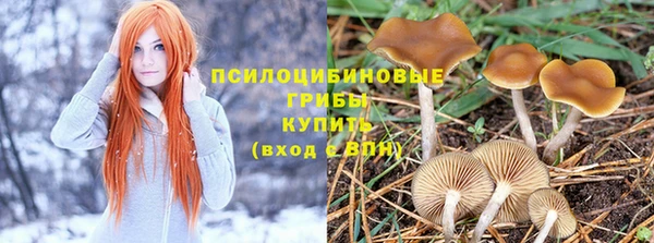 марихуана Осинники