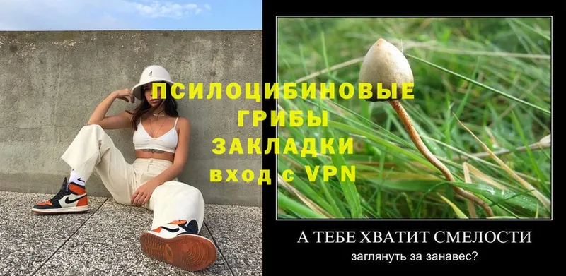 кракен   Великие Луки  Галлюциногенные грибы ЛСД  где купить наркоту 