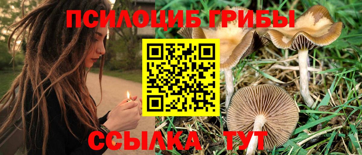 Галлюциногенные грибы мухоморы Великие Луки