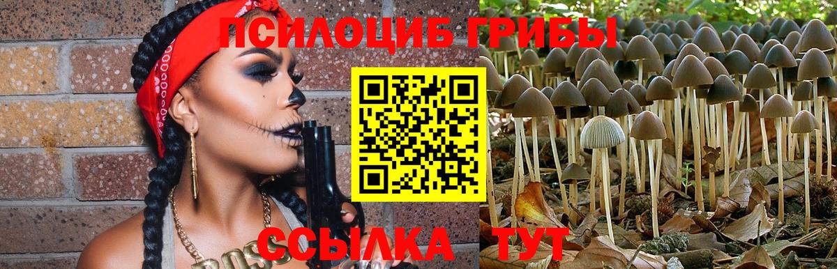 Галлюциногенные грибы GOLDEN TEACHER  Великие Луки  Псилоцибиновые грибы прущие грибы 