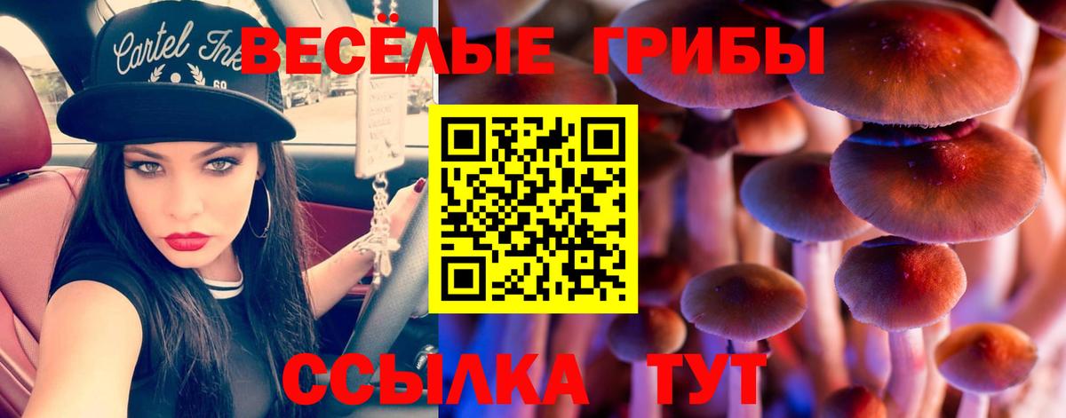 Галлюциногенные грибы Magic Shrooms Великие Луки